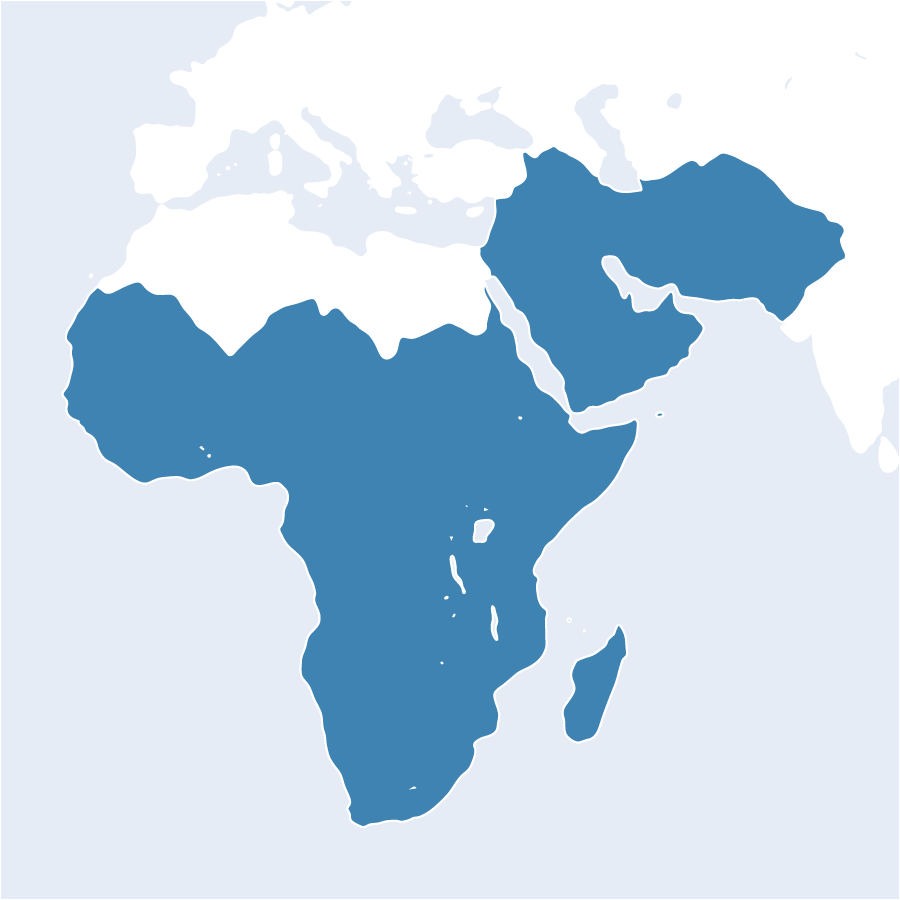 Africa and Middle East map