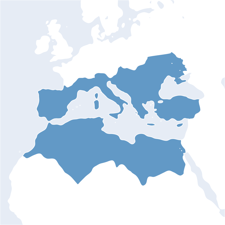 Mediterranean and North Africa map